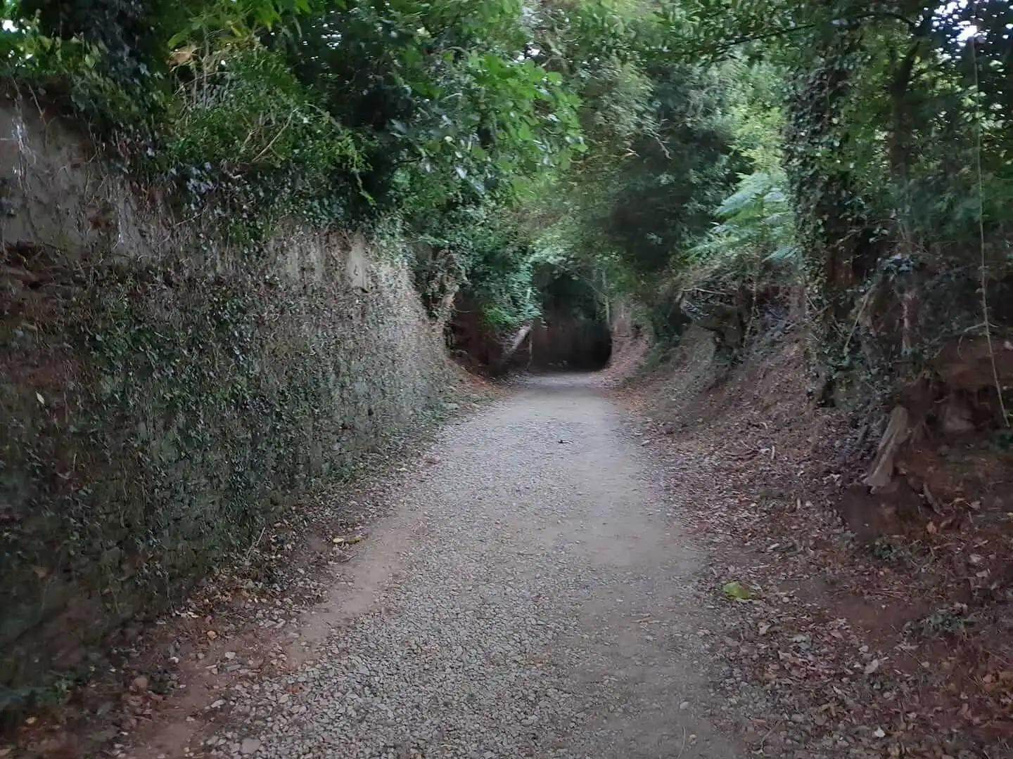 Le pèlerinage sur le Chemin de Saint-Jacques-de-Compostelle en 2017 – c’est là qu’est née l’idée de Denticor