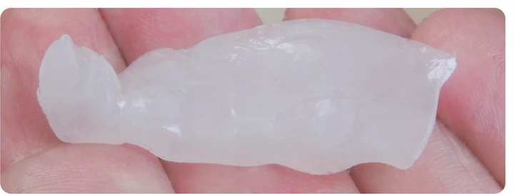 Procédure visuelle pour les trois dents postérieures du bas – principe de pose du bridge Denticor avec les nouvelles dents et de son ajustement aux dents adjacentes